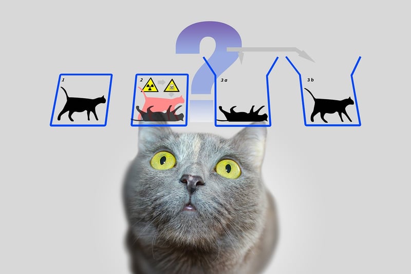 Quantum Computing